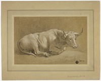 Herefordshire Fat Ox by James Ward