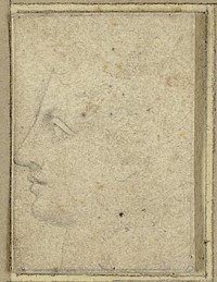 Head of a Youth in Profile to Left by Unknown Milanese