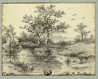 Trees by Pond by Hendrik Pieter Koekkoek