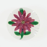 Paperweight by Compagnie de Saint Louis