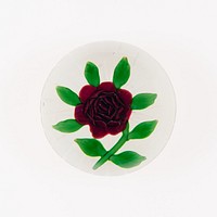 Paperweight by Baccarat Glassworks