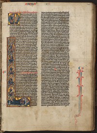 Latin Vulgate Bible