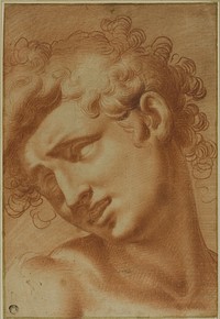 Head of a Youth by Cristoforo Roncalli