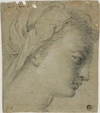 Female Head in Profile to Right by Carlo Cignani