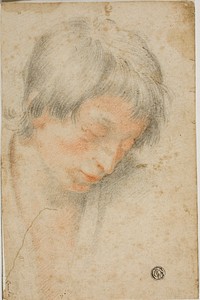 Head of Youth Looking Down by Matteo Rosselli