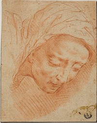 Woman's Head by Bernardino Poccetti
