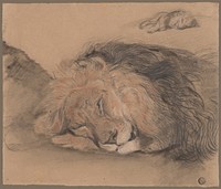 Lion's Head and Sketch of a Lion by Edmé Saint-Marcel