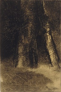 Sketch of Trees by Odilon Redon