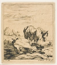 The Two Horses by Charles Meryon