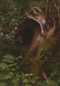 The Squirrel by Seymour Joseph Guy