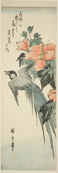 Long-tailed bird and hibiscus by Utagawa Hiroshige
