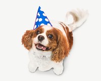 Birthday dog collage element psd