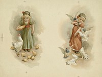 Two images of girl feeding birds on one sheet