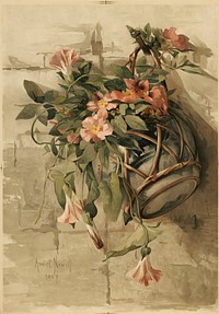 Pink Flowers in Hanging Vase