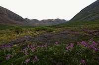 Meadow & mountain landscape, border background   psd