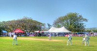 Warm-up match cricket club.