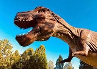 T-Rex Dinosaur, reptile animal model.