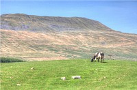 Whernside is the second of the Three Peaks, north-west of the main B6255 road.