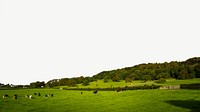 Cow field, border background   psd