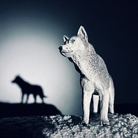 Wolf model, wild animal sculpture.