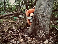 Wildlife, red fox puffy doll.