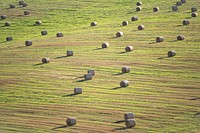 Cereal straw, countryside farm field.