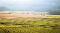 Foggy nature field, open landscape.