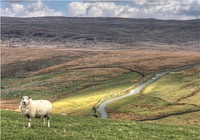 SheepDales Drive: it's a bit remote up here, to put it mildly.