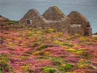 Ruined stone architecture, ancient remain.