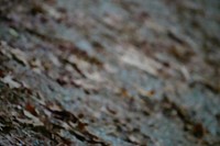 Bicycling rout, damp ground floor.