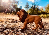 Wildlife model, male lion sculpture.