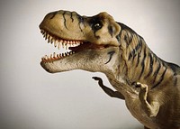 T-Rex dinosaur, extinct reptile animal.