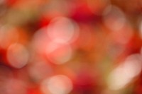 Red blurring bokeh filter effect.