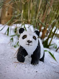 Panda model, zoology museum exhibition.
