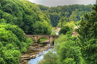 River swale, historical bridge, woods.