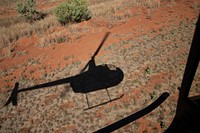 Take off!Purnalulu National Park, Kimberley, Western Australia