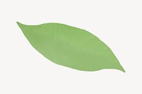 Watercolor leaf, green clipart psd