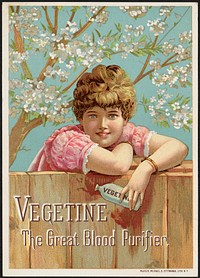             Vegetine, the great blood purifier          