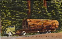             "Straughan's Redwood Loghouse -- 1900 Years Old -- From California's Redwood Empire"          