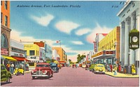             Andrews Avenue, Fort Lauderdale, Florida          