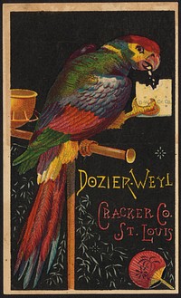             Dozier-Weyl Cracker Co. St. Louis          