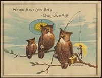             Where have you been owl summer.          