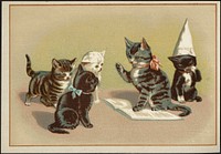             Five cats, one sitting with a dunce cap while one reads from a book to the other three.          