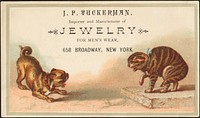             J. P. Tuckerman, importer and manufacturer of jewelry for men's wear, 658 Broadway, New York          