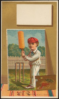             Batsman          