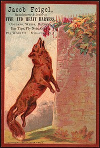             Jacob Feigel. Manufacturer & dealer in fine and heavy harness. Collars, whips, brushes, ear tips, fly nets, oil &c. 19 1/2 Wolf St., Syracuse, N.Y.          