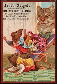             Jacob Feigel. Manufacturer & dealer in fine and heavy harness. Collars, whips, brushes, ear tips, fly nets, oil &c. 19 1/2 Wolf St., Syracuse, N.Y.          