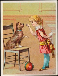             A girl playing with a dog on a chair who is lifting its paw, with a ball in the foreground.          