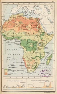             Africa vegetation          