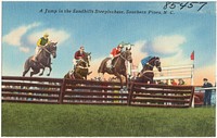             A jump in the Sandhills Steeplechase, Southern Pines, N. C.          